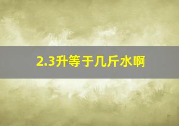 2.3升等于几斤水啊