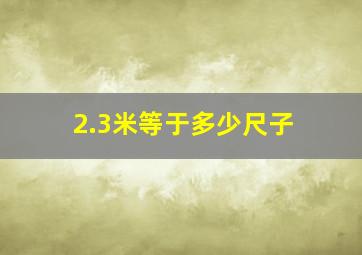 2.3米等于多少尺子