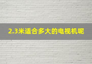 2.3米适合多大的电视机呢