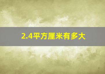 2.4平方厘米有多大