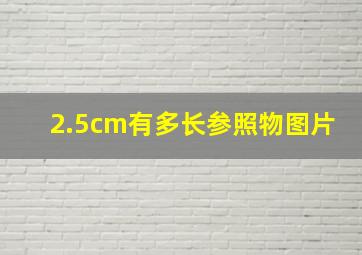 2.5cm有多长参照物图片