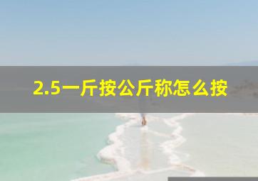 2.5一斤按公斤称怎么按