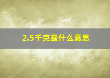 2.5千克是什么意思