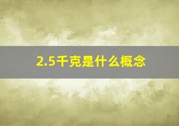 2.5千克是什么概念