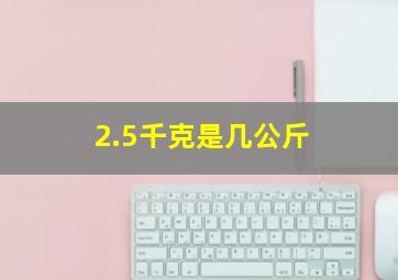 2.5千克是几公斤