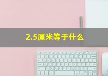 2.5厘米等于什么