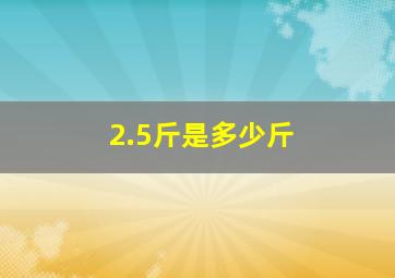 2.5斤是多少斤