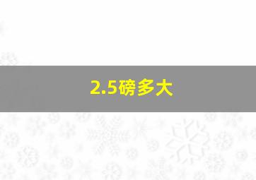 2.5磅多大