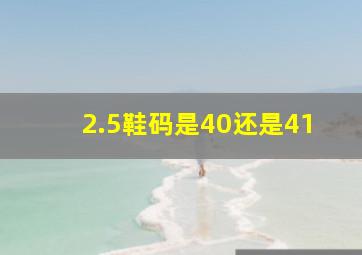 2.5鞋码是40还是41