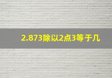 2.873除以2点3等于几