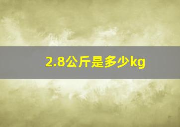 2.8公斤是多少kg