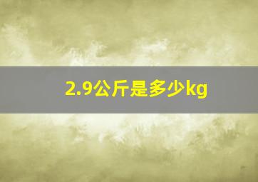 2.9公斤是多少kg