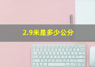 2.9米是多少公分