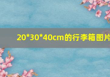 20*30*40cm的行李箱图片