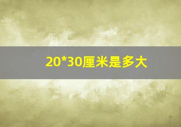 20*30厘米是多大