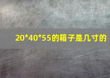 20*40*55的箱子是几寸的