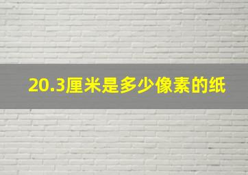 20.3厘米是多少像素的纸