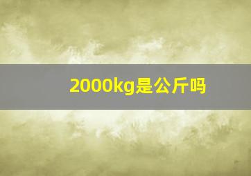 2000kg是公斤吗