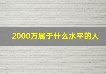 2000万属于什么水平的人