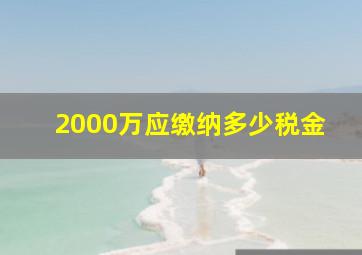 2000万应缴纳多少税金