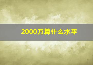 2000万算什么水平