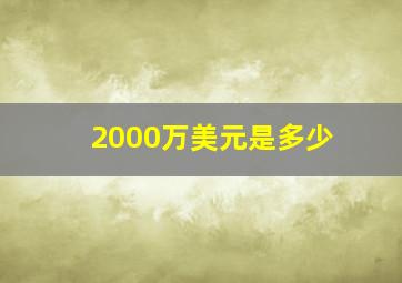 2000万美元是多少