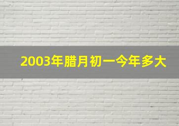 2003年腊月初一今年多大