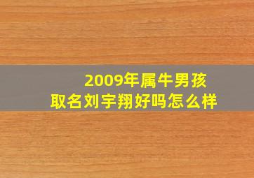 2009年属牛男孩取名刘宇翔好吗怎么样