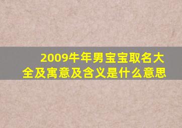 2009牛年男宝宝取名大全及寓意及含义是什么意思