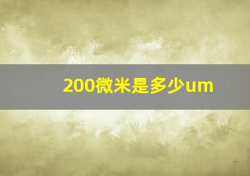 200微米是多少um