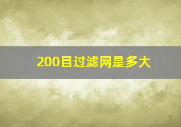 200目过滤网是多大