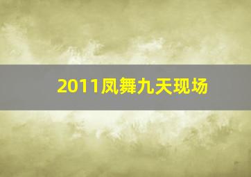 2011凤舞九天现场