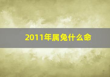 2011年属兔什么命