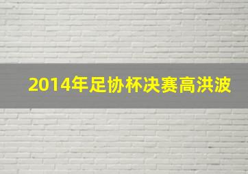 2014年足协杯决赛高洪波