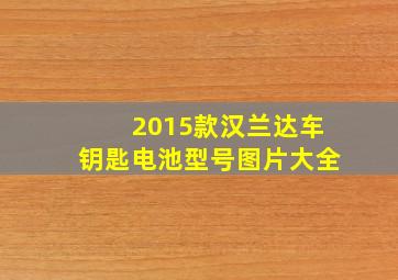 2015款汉兰达车钥匙电池型号图片大全