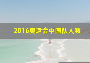 2016奥运会中国队人数