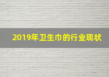 2019年卫生巾的行业现状