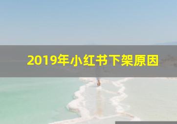 2019年小红书下架原因