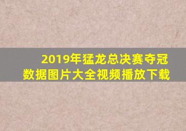 2019年猛龙总决赛夺冠数据图片大全视频播放下载