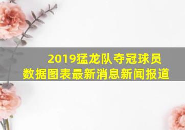 2019猛龙队夺冠球员数据图表最新消息新闻报道