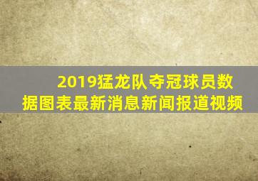 2019猛龙队夺冠球员数据图表最新消息新闻报道视频