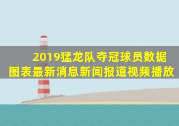 2019猛龙队夺冠球员数据图表最新消息新闻报道视频播放