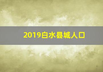 2019白水县城人口