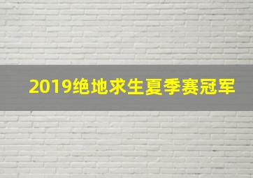 2019绝地求生夏季赛冠军