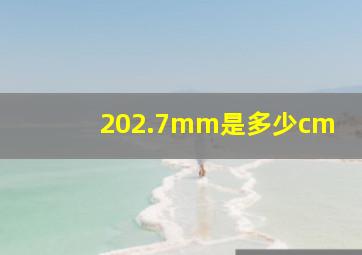 202.7mm是多少cm