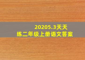 20205.3天天练二年级上册语文答案