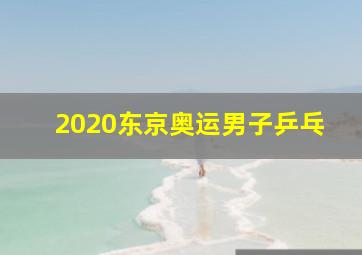 2020东京奥运男子乒乓