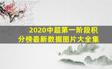 2020中超第一阶段积分榜最新数据图片大全集