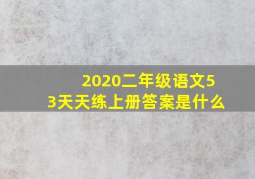 2020二年级语文53天天练上册答案是什么