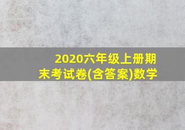 2020六年级上册期末考试卷(含答案)数学